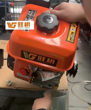 Guia de manutenção para motor a gasolina de espuma Wanggeng: Pequenos detalhe...